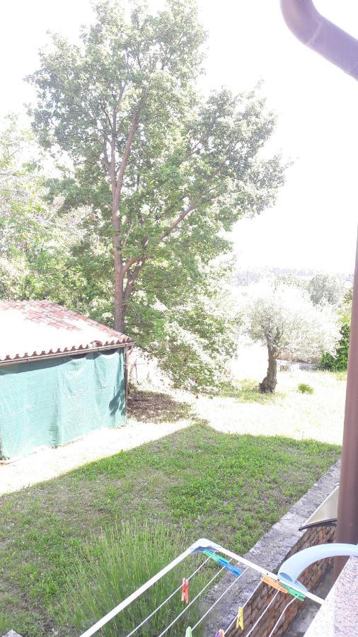 Apartment Radovan بوريتش المظهر الخارجي الصورة