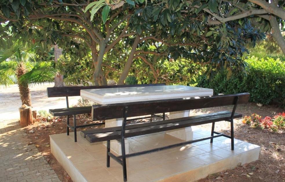 Apartment Radovan بوريتش المظهر الخارجي الصورة