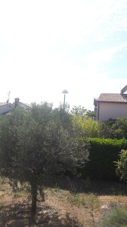 Apartment Radovan بوريتش المظهر الخارجي الصورة